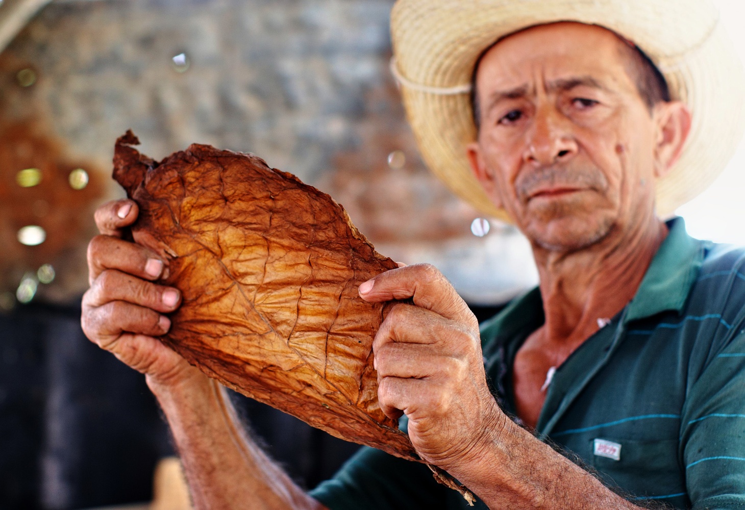 Zigarrenroller, Kuba